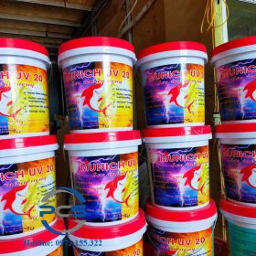 Nên mua sơn chống nóng ở đâu