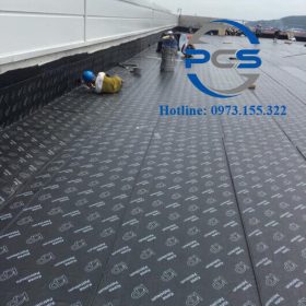 Dán màng Morter Plas TP