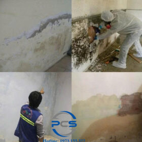 Hóa chất Maxtec Liquid M900 (3)