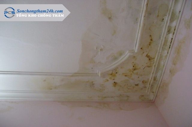 Chống Thấm Tường Nhà: Nguyên Nhân & 5 Cách Xử Lý Triệt Để 1 chong-tham-tuong-quan-trong